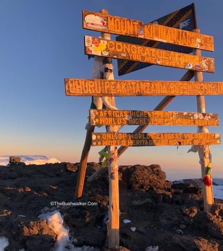 Mt Kilimanjaro (5895m)